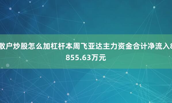 散户炒股怎么加杠杆本周飞亚达主力资金合计净流入8855.63万元