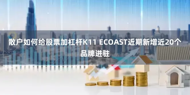 散户如何给股票加杠杆K11 ECOAST近期新增近20个品牌进驻