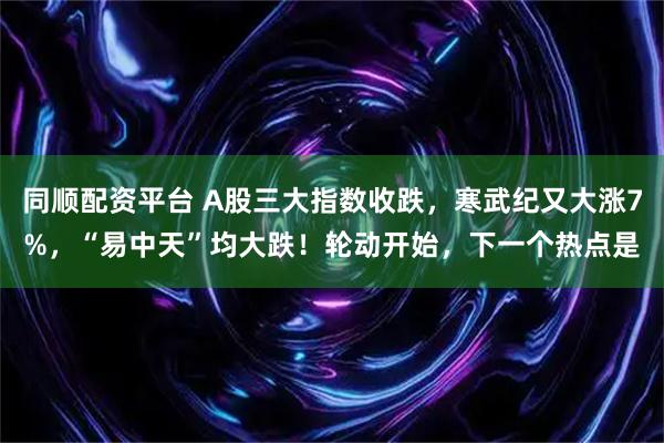 同顺配资平台 A股三大指数收跌，寒武纪又大涨7%，“易中天”均大跌！轮动开始，下一个热点是