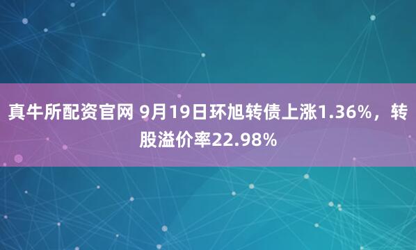 真牛所配资官网 9月19日环旭转债上涨1.36%，转股溢价率22.98%