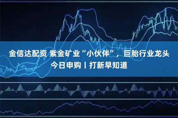 金信达配资 紫金矿业“小伙伴”，巨胎行业龙头今日申购丨打新早知道