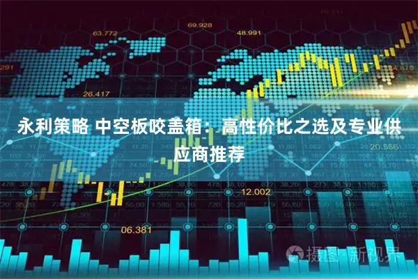 永利策略 中空板咬盖箱：高性价比之选及专业供应商推荐