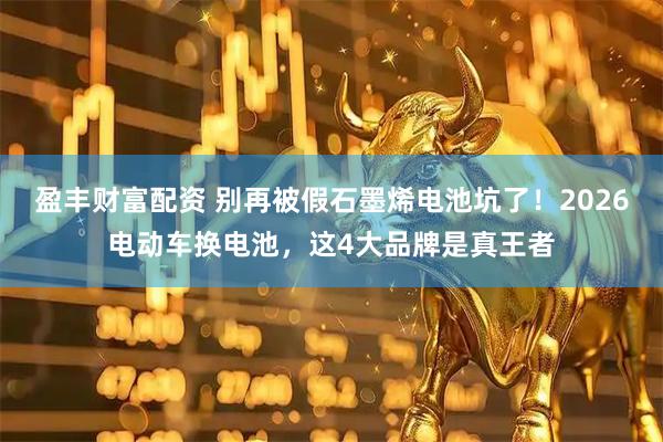 盈丰财富配资 别再被假石墨烯电池坑了！2026电动车换电池，这4大品牌是真王者