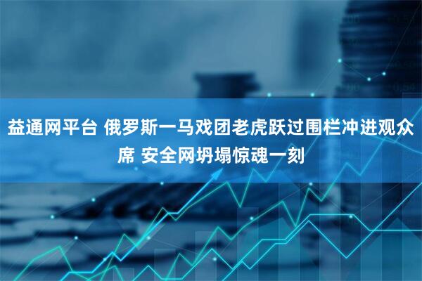 益通网平台 俄罗斯一马戏团老虎跃过围栏冲进观众席 安全网坍塌惊魂一刻
